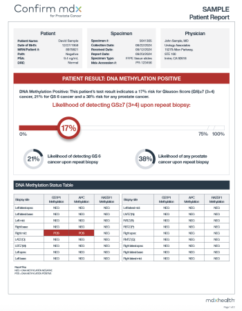 Screenshot 2025-08-15 at 1.17.07 PM